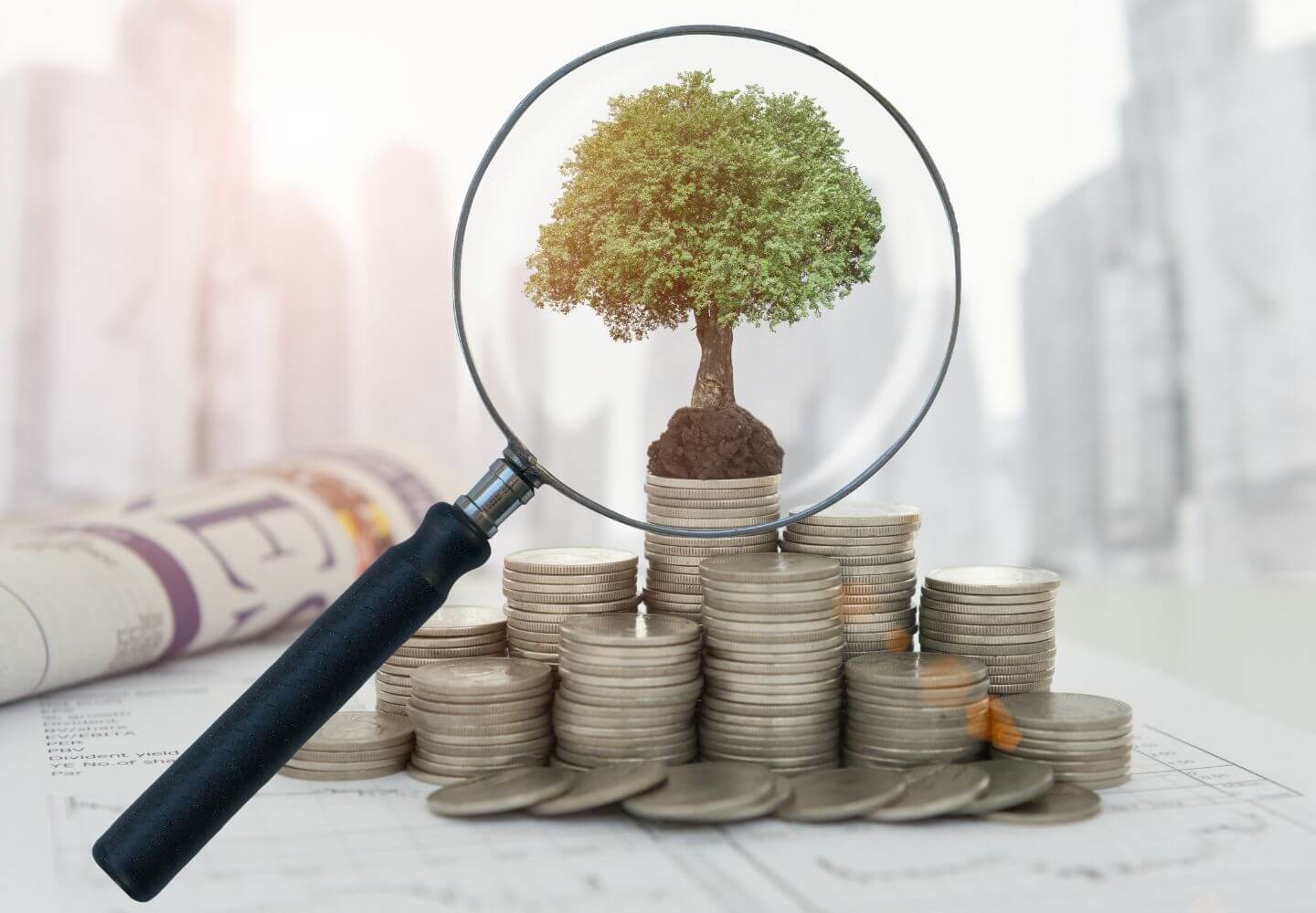 Investment für E-2 Unternehmen - Beurteilung und Feedback von Wirt Business Advisory Hamburg - Ihren E2 Consultants
